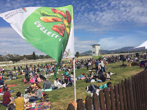 Terra e musica – festa del 1 maggio contadino a Roma